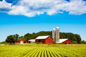 Farm Buildings - Agricultural & Rural