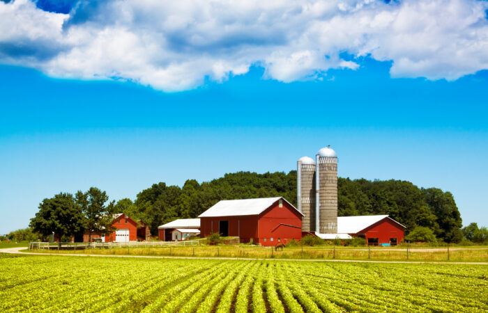 Farm Buildings - Agricultural & Rural